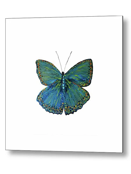 Cerulean Butterfly metal print