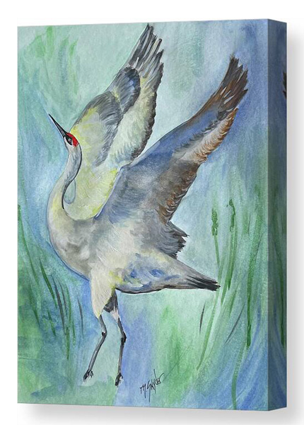 Dancing Sandhill Crane canvas print