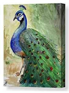 ​Proud&nbsp; Peacock
